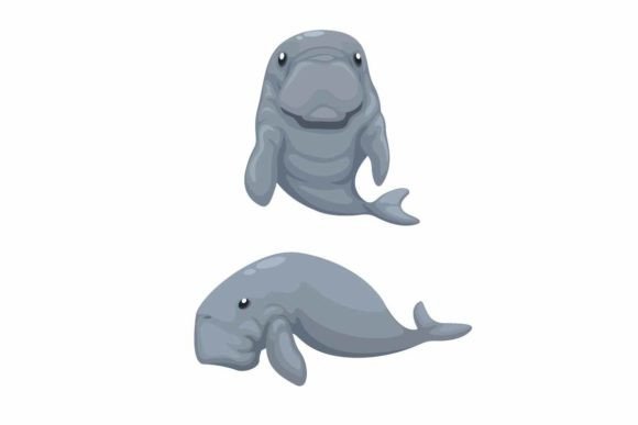 Download Dugong Marine Mammal Animal Set Vector - Premium Resources
