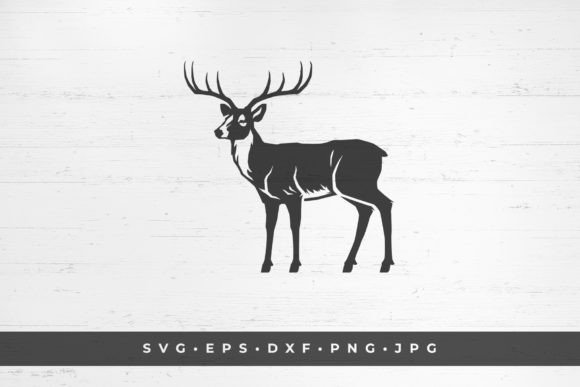 Download Horned Deer Mammal Wild Animal - Mammal Collection